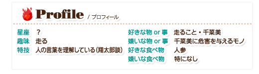 プロフィール